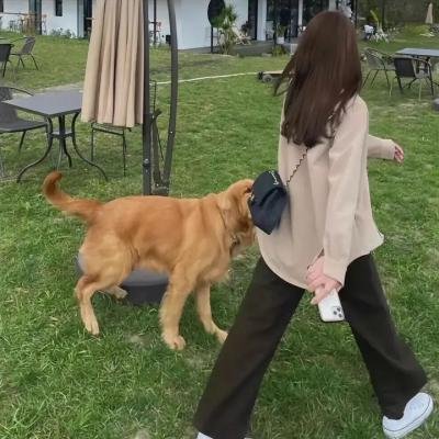 内衣秀